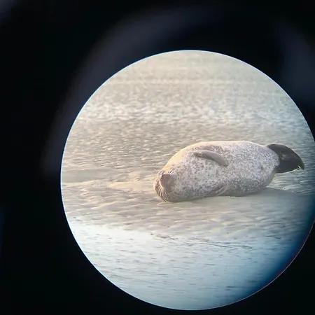 Apartmán Jeanne - Confort 2-4 Pers En Rdc Au Centre De Berck-plage *