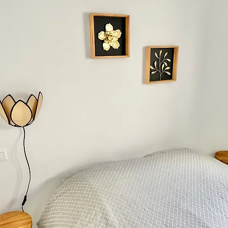 Jeanne - Confort 2-4 Pers En Rdc Au Centre De Berck-plage *