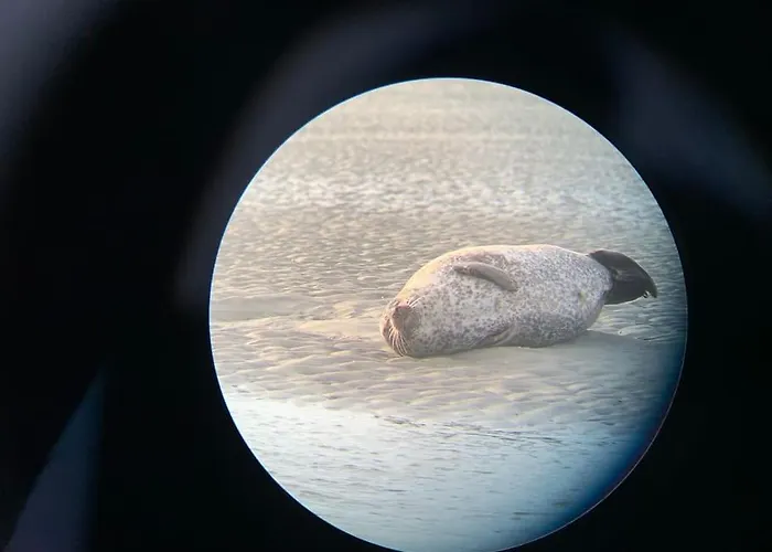 Appartement Plain-pied à Berck-plage - Commerces Et à Quelques Pas *